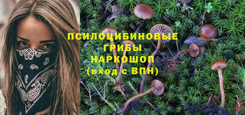 Галлюциногенные грибы MAGIC MUSHROOMS  kraken рабочий сайт  Аркадак  сколько стоит 